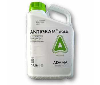 Antigram Gold