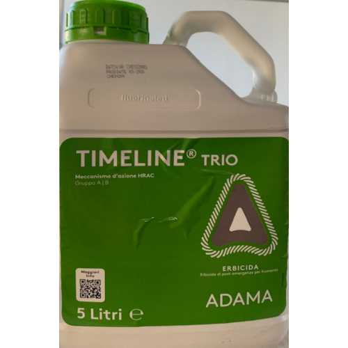 Timeline Trio