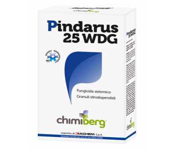 Pindarus 25 WG