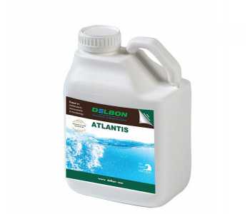 ATLANTIS