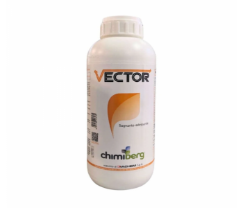 Vector