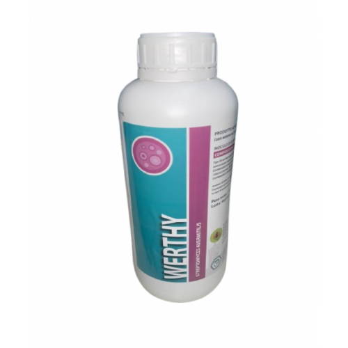 WERTHY - LG ITALIA