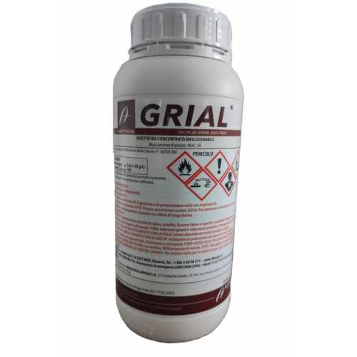 Grial - Afrasa
