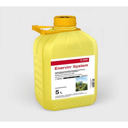ENERVIN SC (Ametoctradina) - BASF