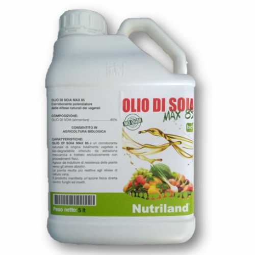 Olio di Soia - GREEN RAVENNA 