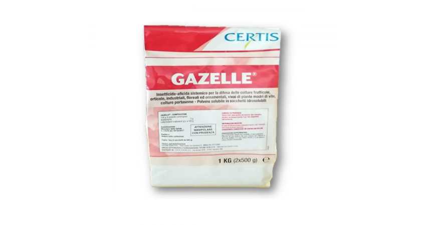 Gazelle